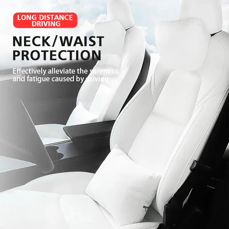 Coussin et Lombaire TESLA